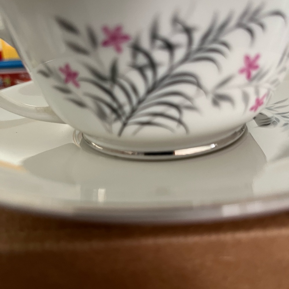 Parisienne Royal Jackson Cup & Saucer